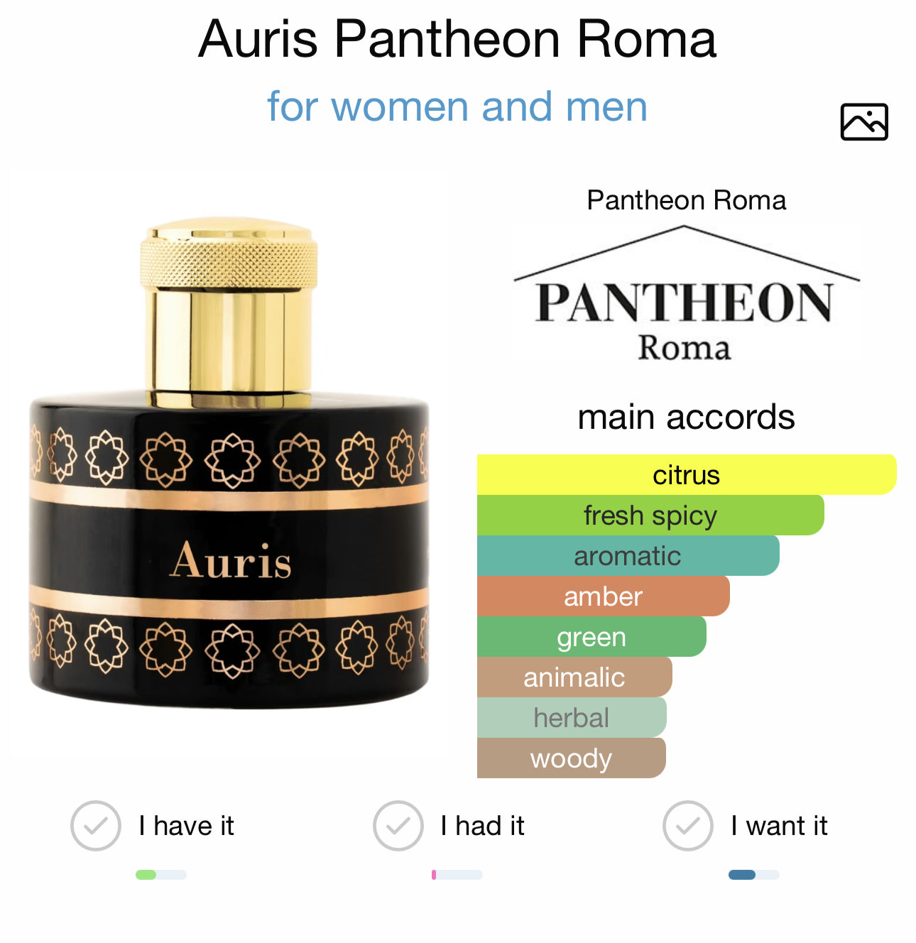 AURIS- PANTHEON ROMA