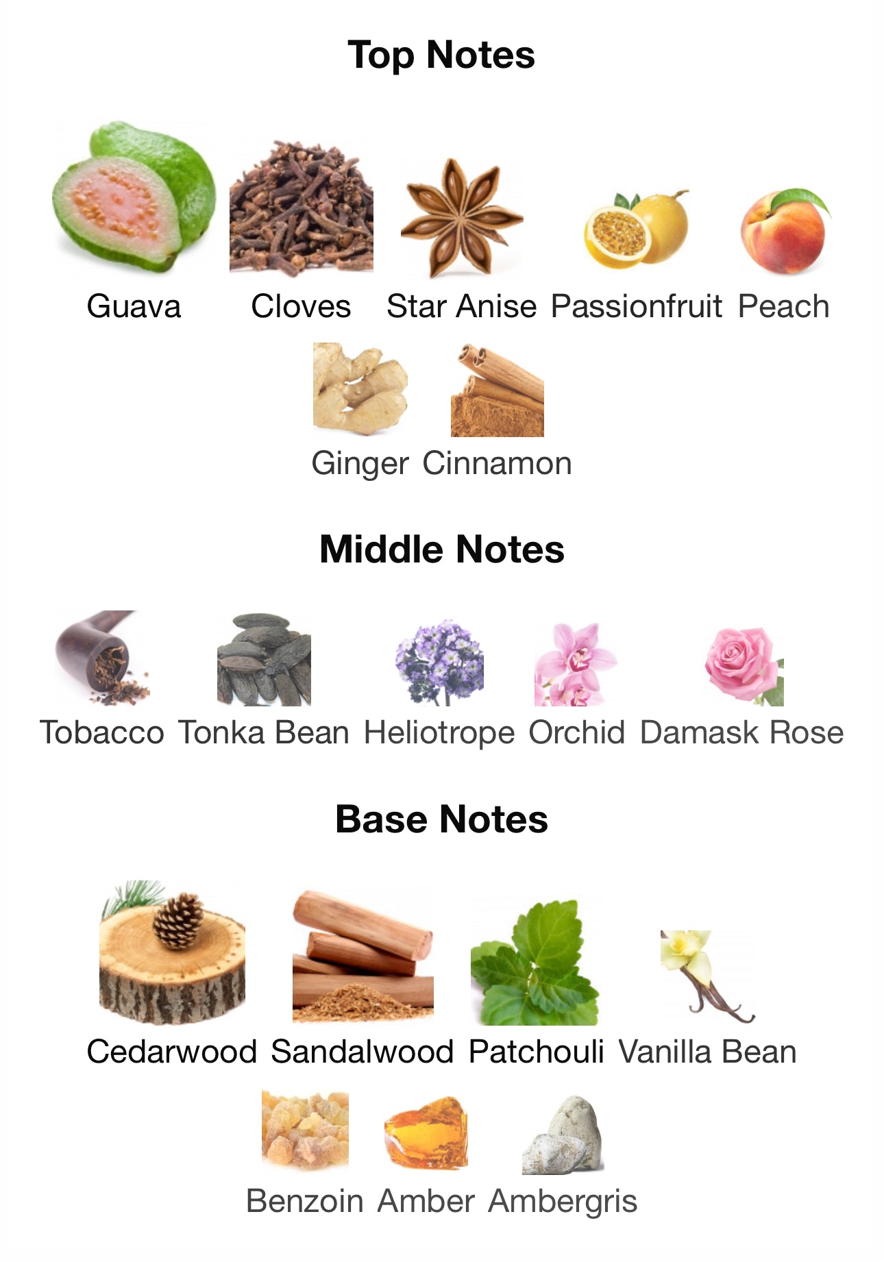 QUE CHIMBA! - LORENZO PAZZAGLIA