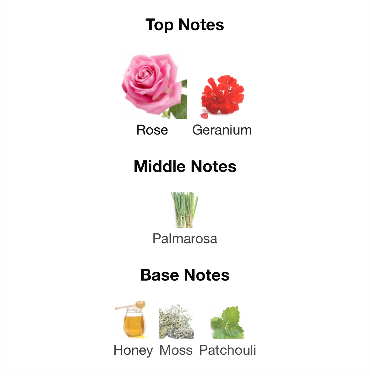 LA FILLE DE BERLIN - SERGE LUTENS