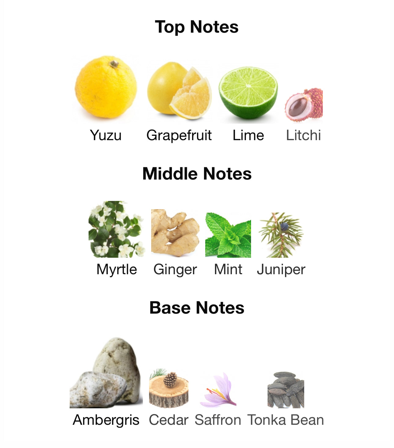 AURIS- PANTHEON ROMA