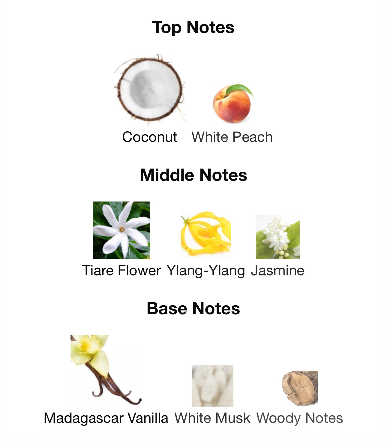 COCO VANILLE - MANCERA