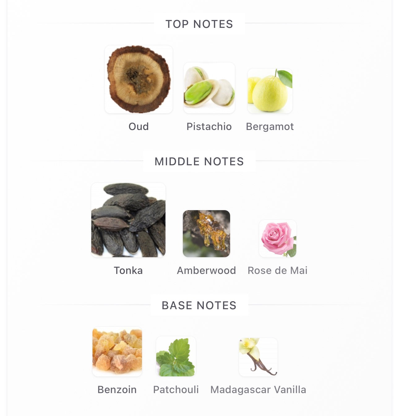 OMBRE TONKA - MANCERA