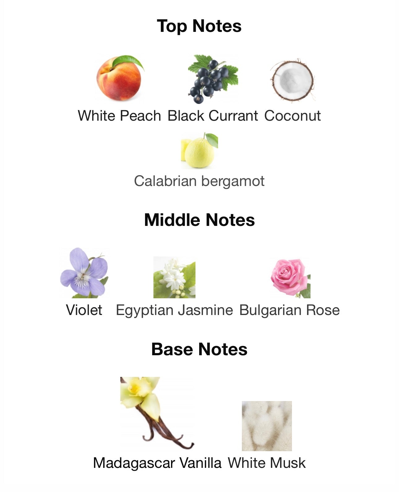 BLACK VANILLA - MANCERA