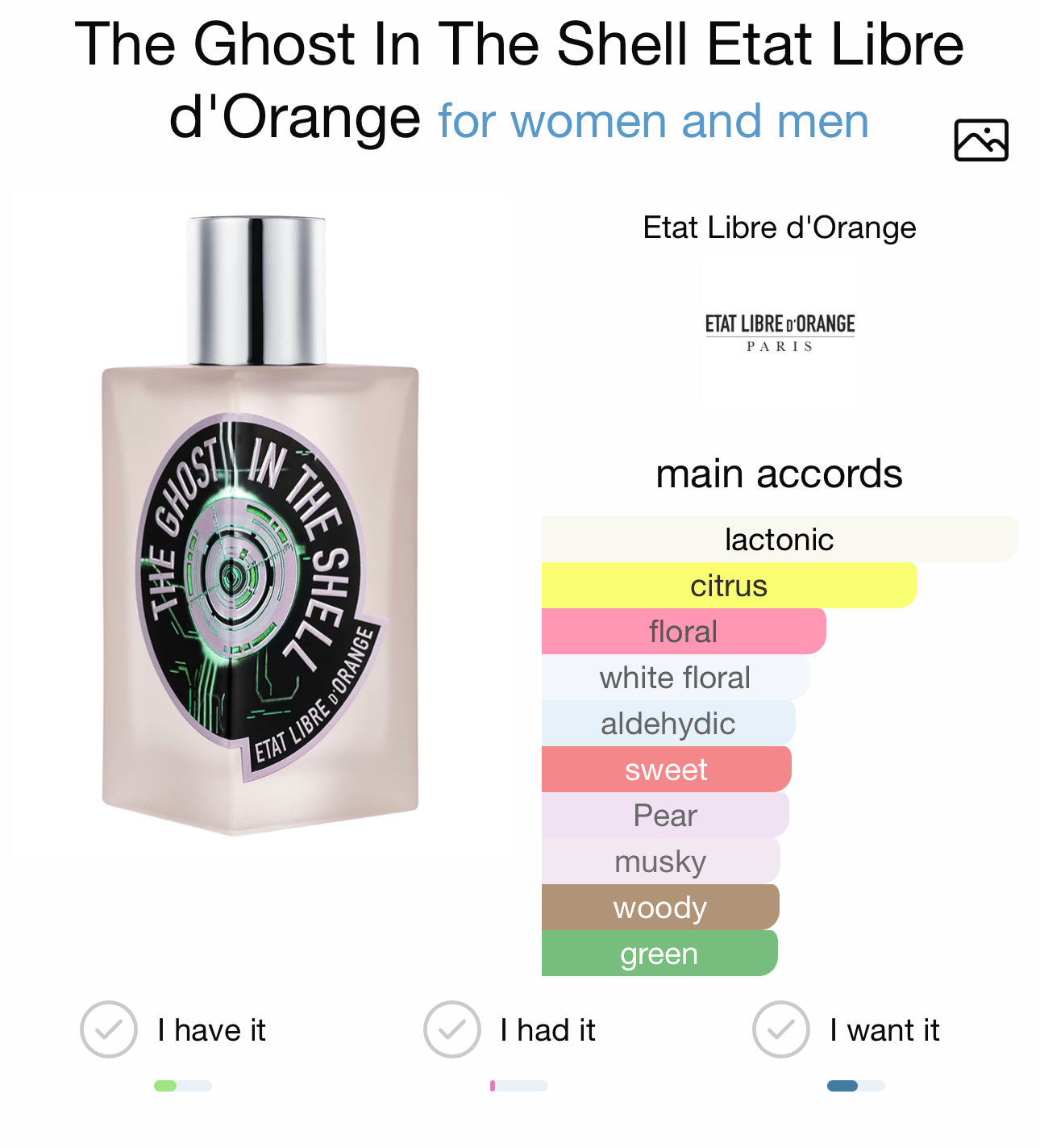 THE GHOST IN THE SHELL - ETAT LIBRE d'ORANGE