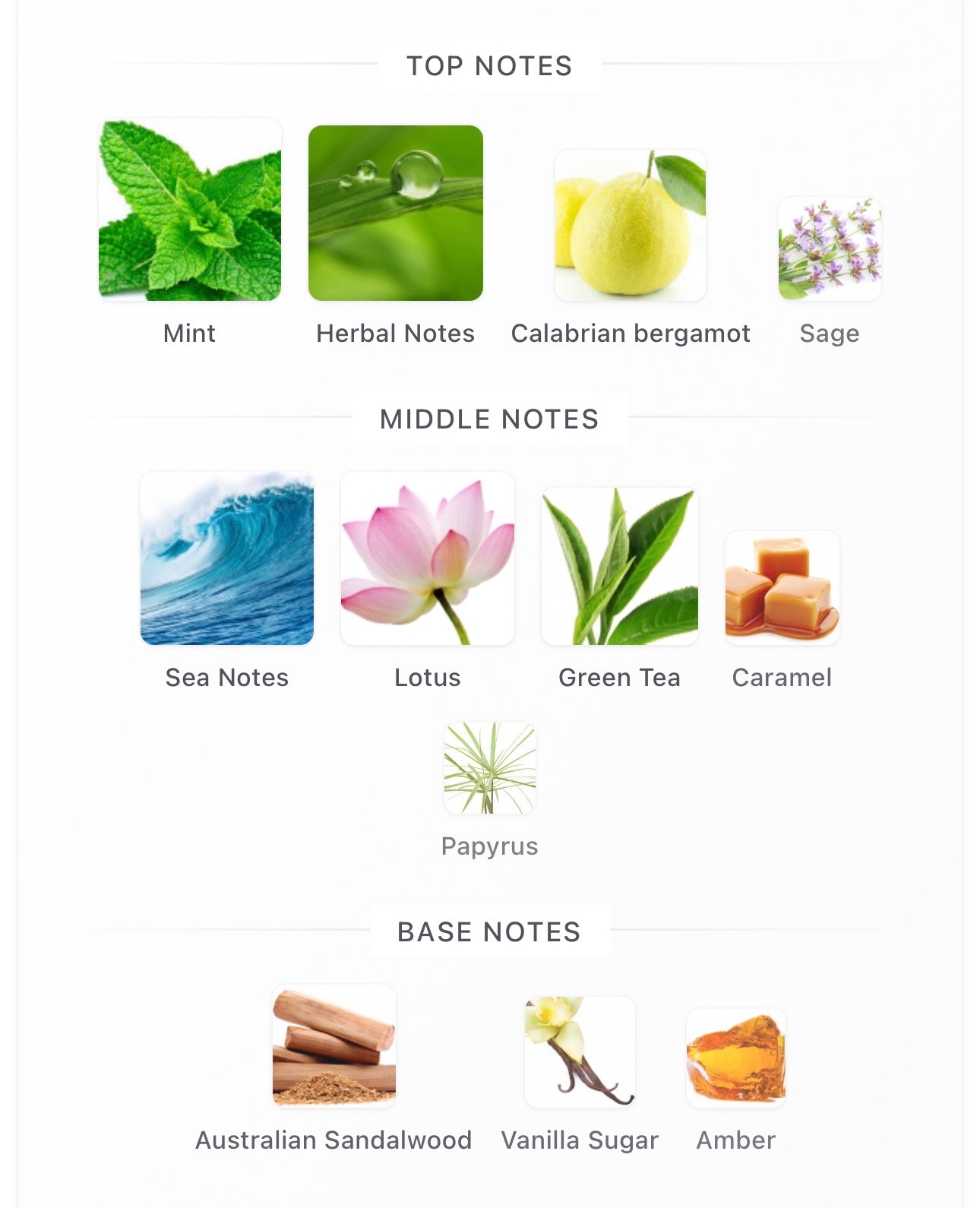 HERBAL AQUATICA - MONTALE