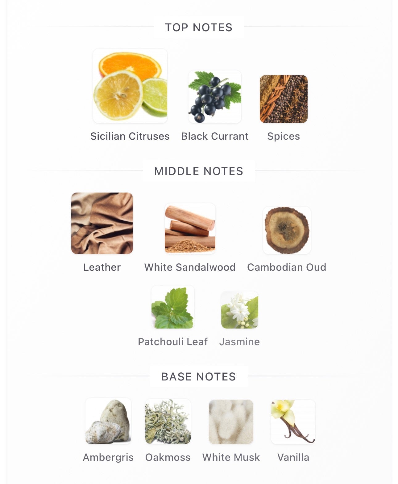 INTENSE CEDRAT BOISE - MANCERA