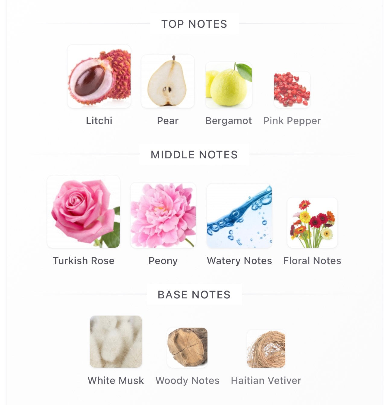 DELINA LA ROSÉE - PARFUMS DE MARLY