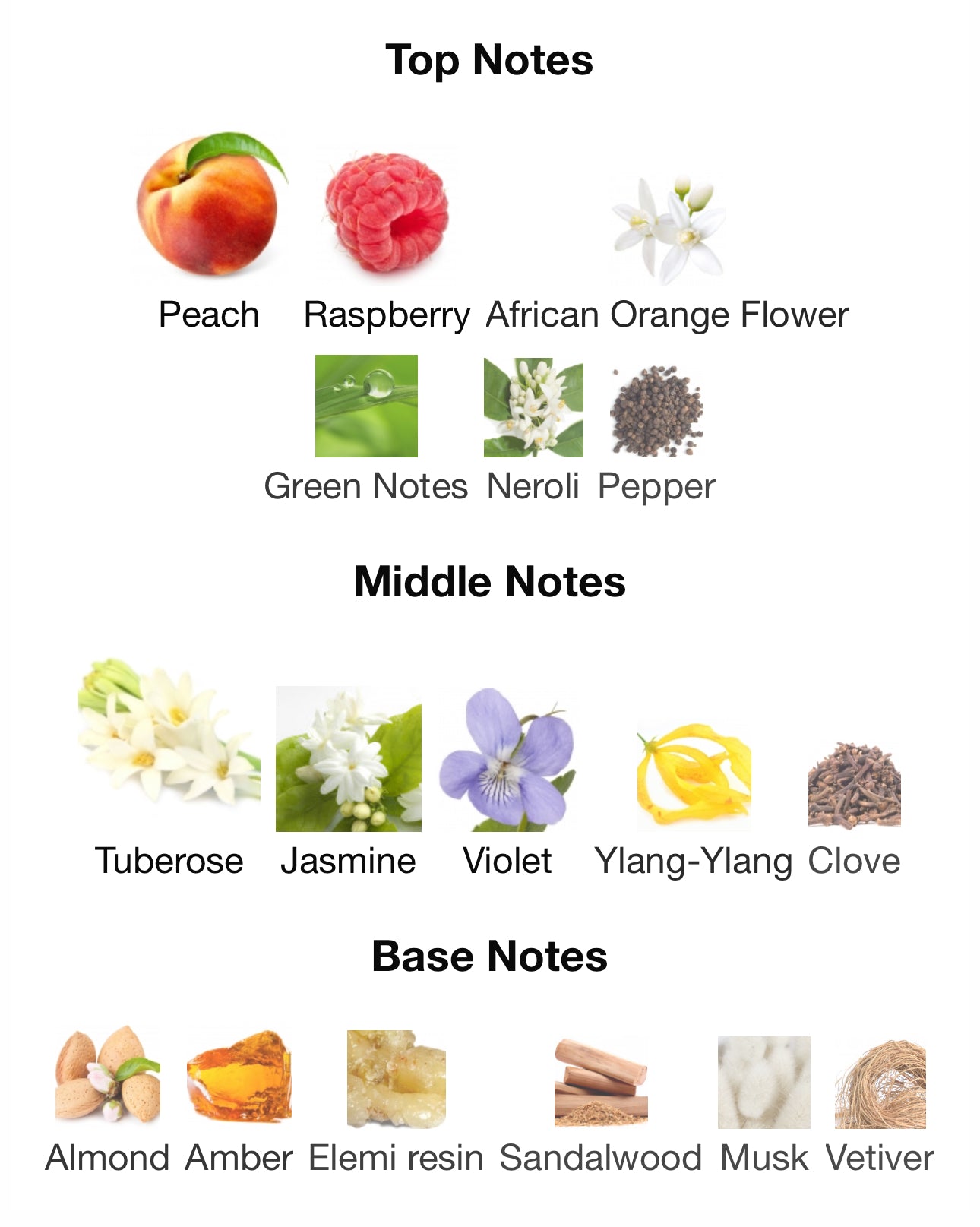 eo03 - biehl. parfumkunstwerke