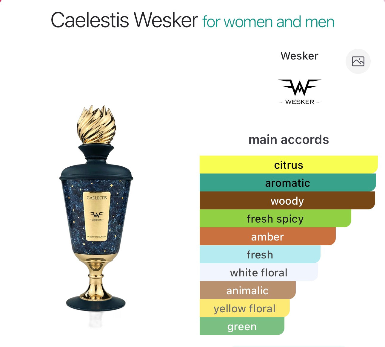 CAELESTIS - WESKER