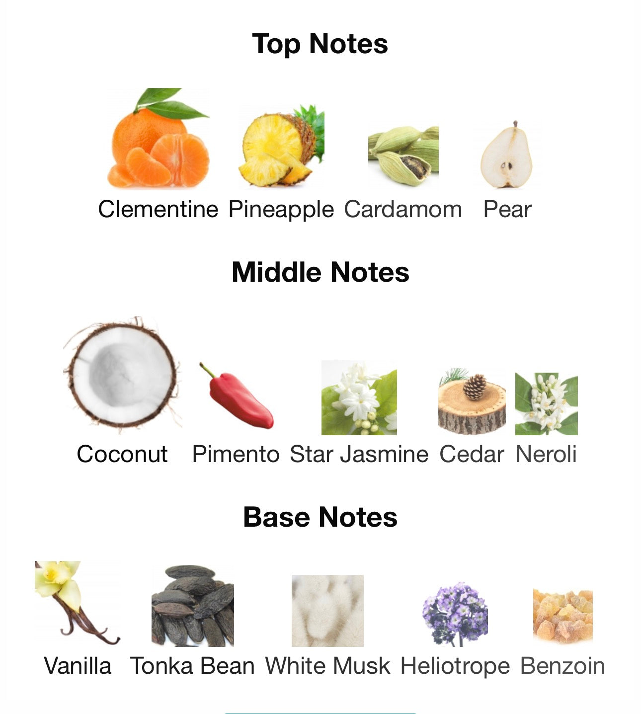 SIGNATURE CoCoLoCo - ZAHAROFF