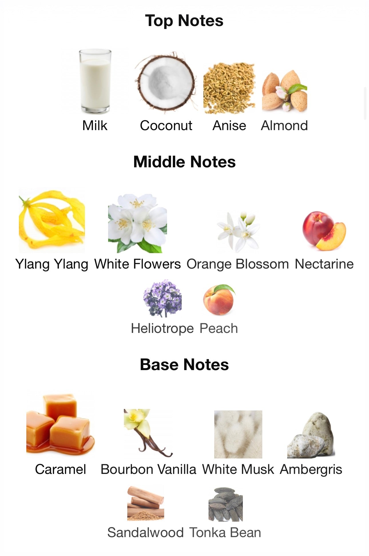 SUNSET CARAMEL - CAVE