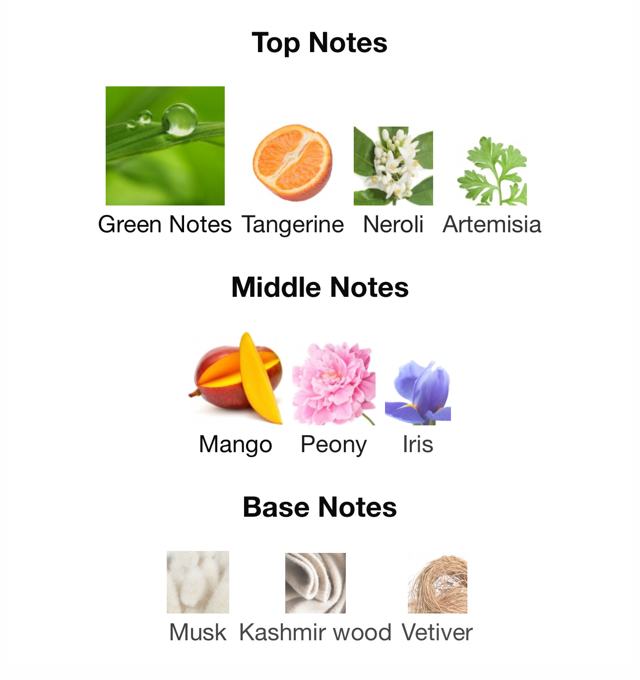 pc01 - biehl. parfumkunstwerke