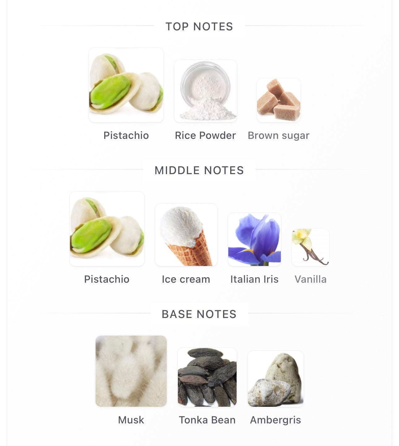 MOCHI MUSK - MANCERA