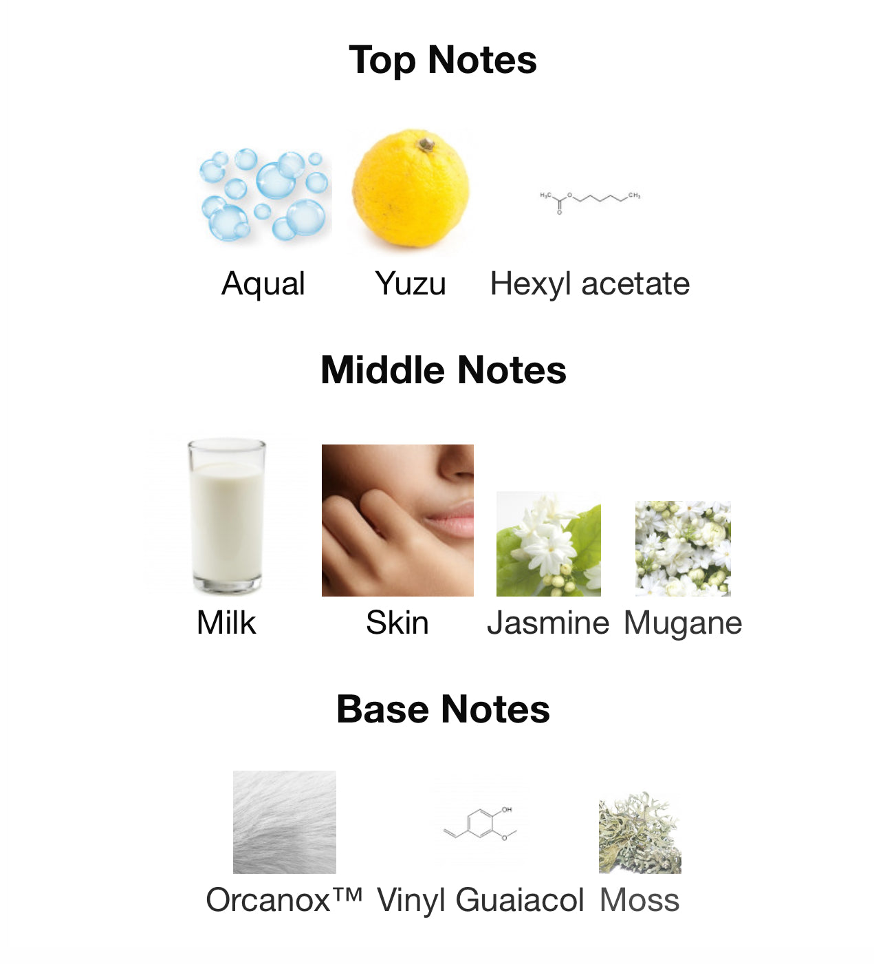 THE GHOST IN THE SHELL - ETAT LIBRE d'ORANGE