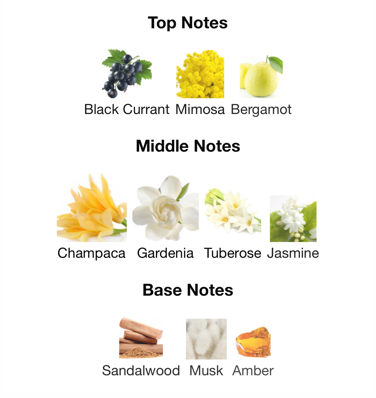 mb01 - biehl. parfumkunstwerke