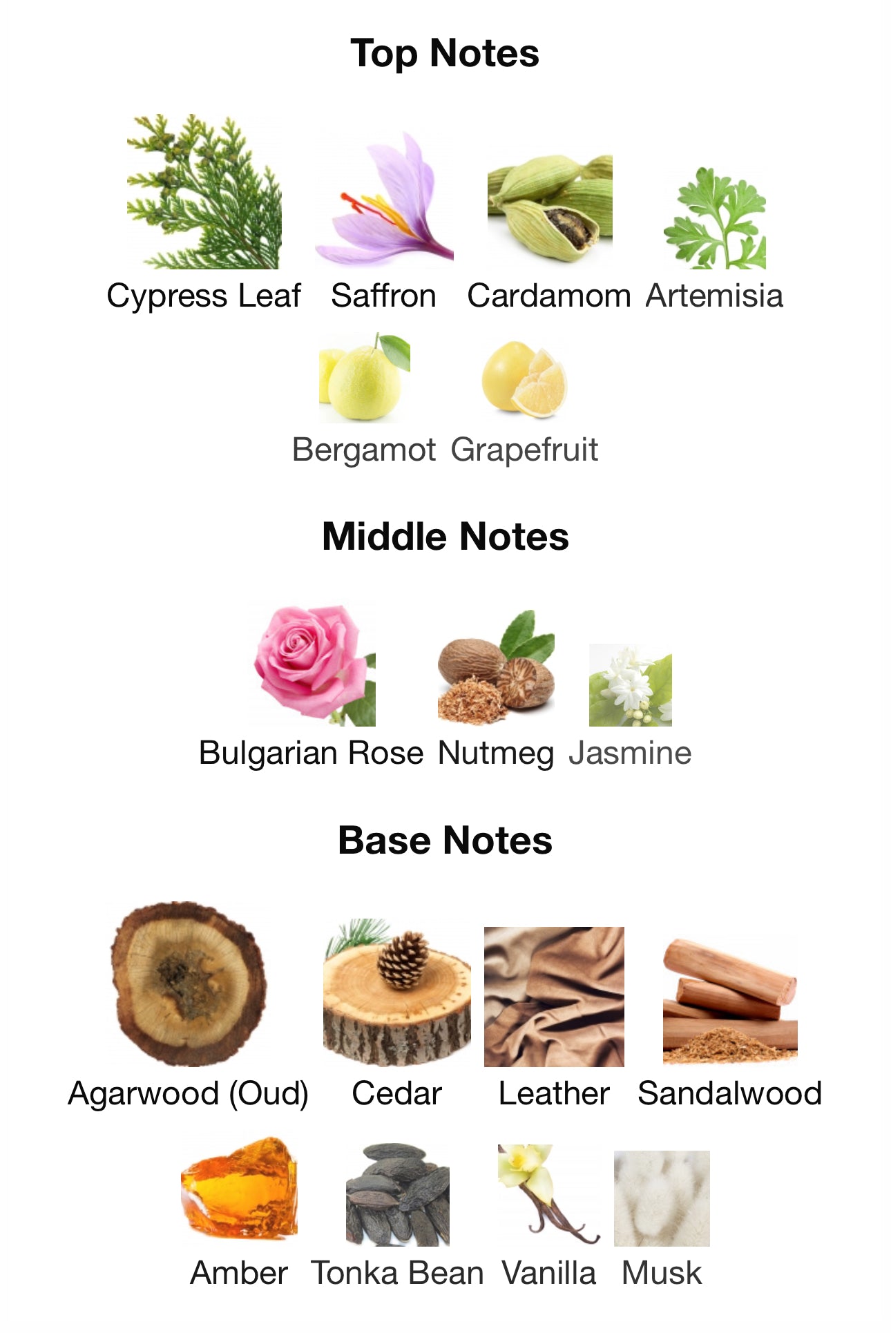 HALFETI- PENHALIGON'S