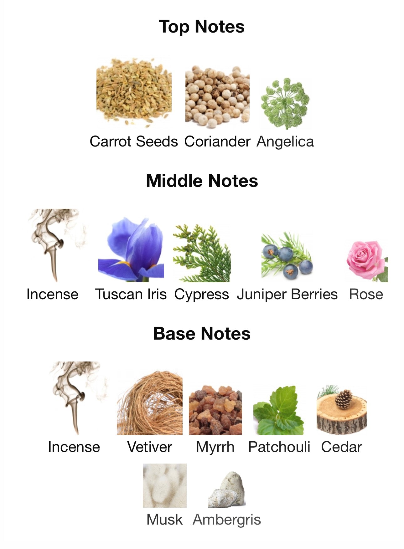 EVENING MYSTIQUE - ZAHAROFF