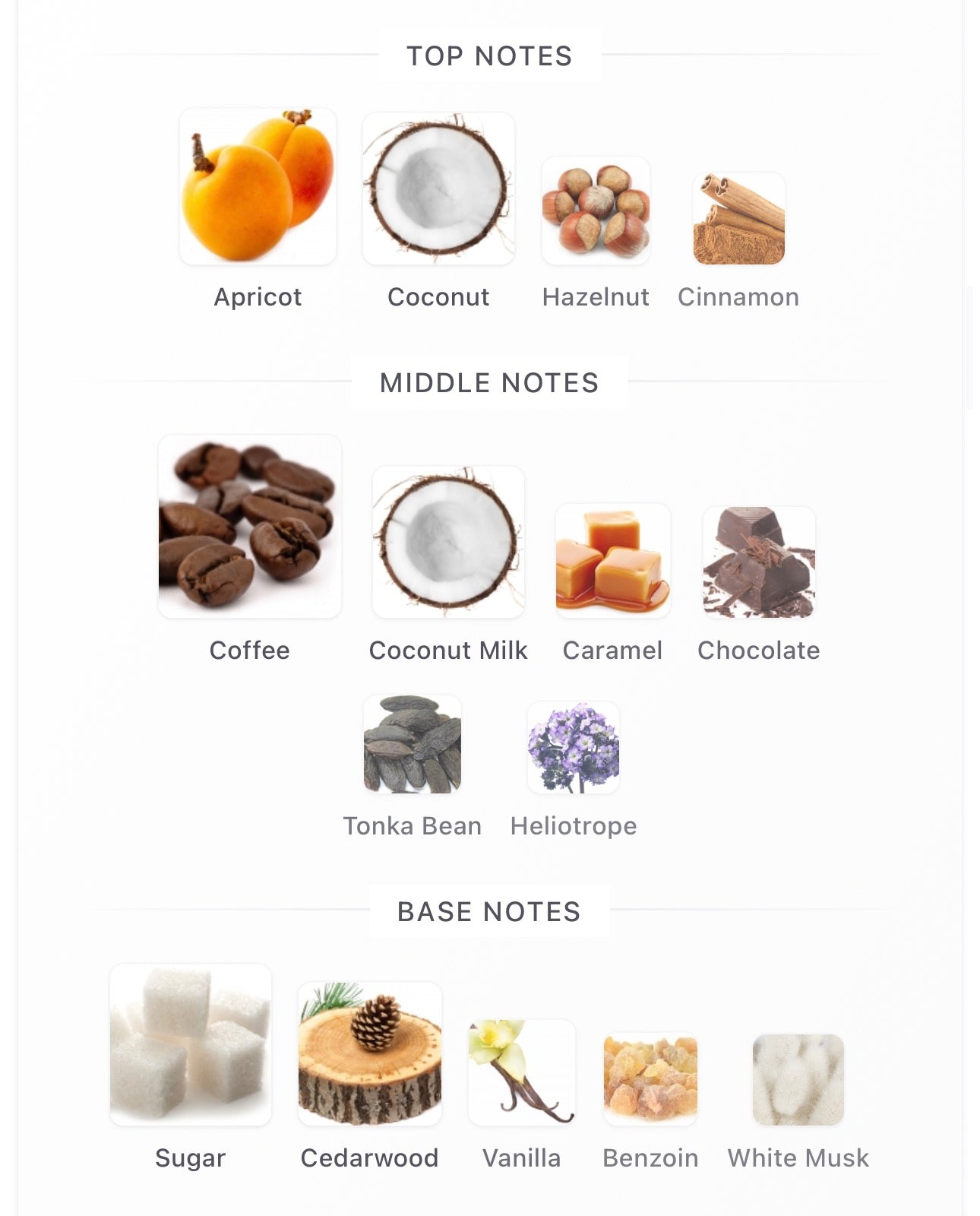 COFFEEE PASSION - LORENZO PAZZAGLIA