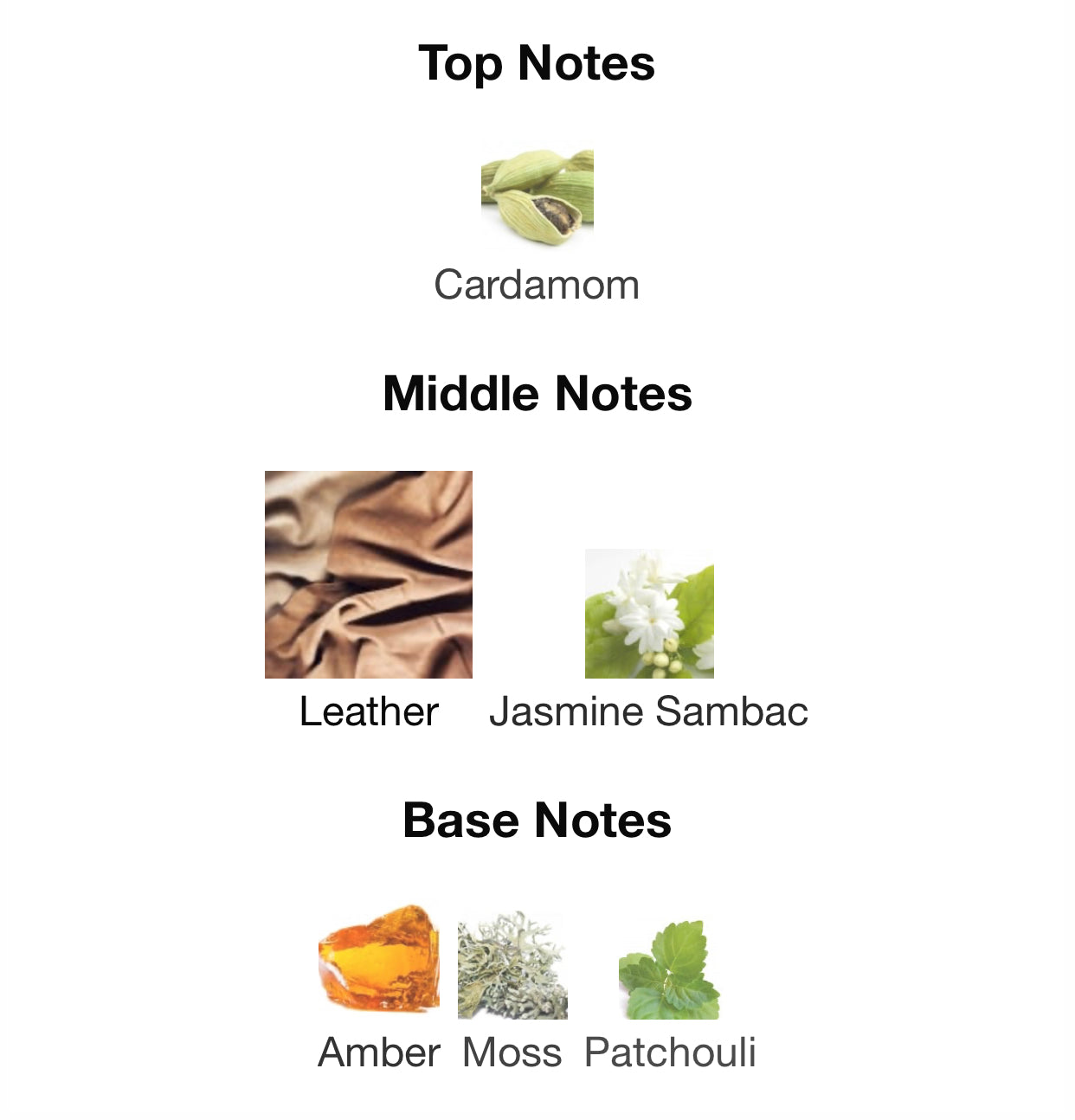 OMBRÉ LEATHER TOM FORD – Niche Perfume Decants